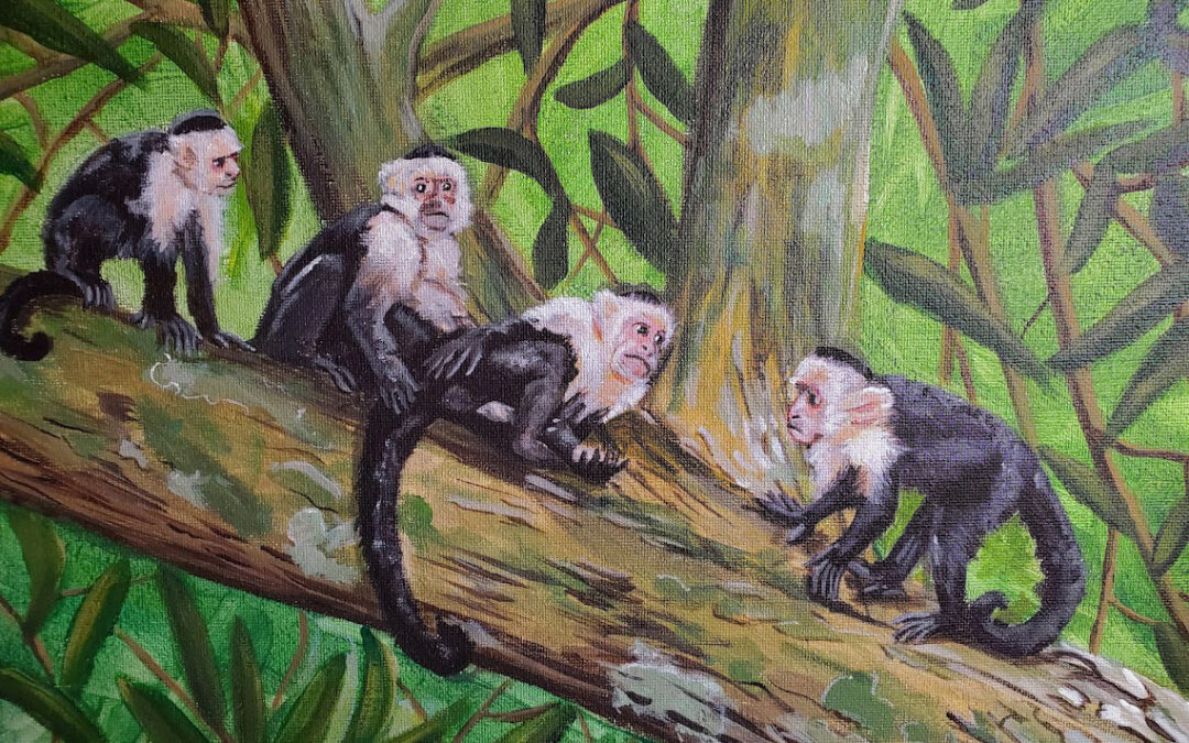 Monkey Family